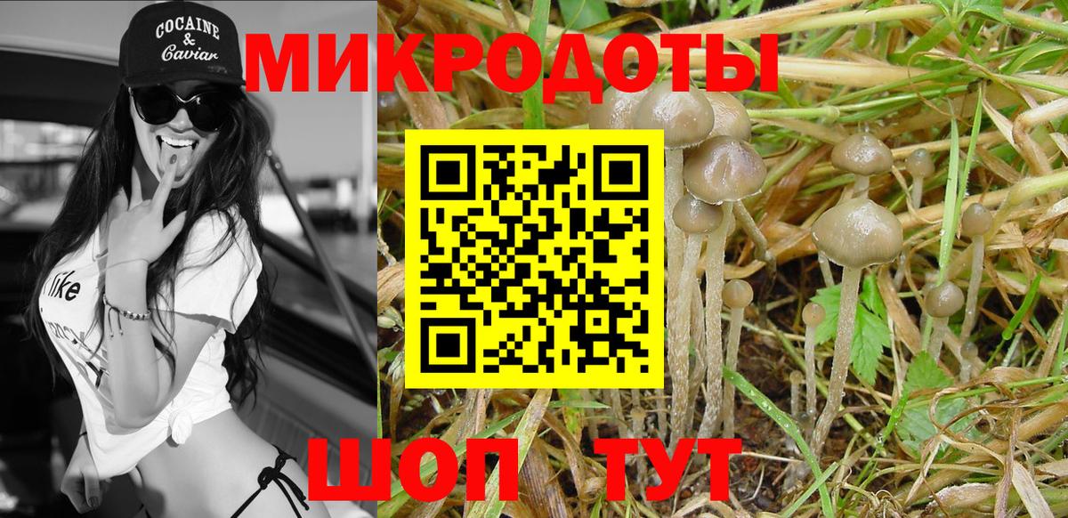 Галлюциногенные грибы Magic Shrooms  Вход с VPN  Спасск-Дальний 